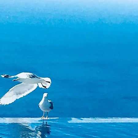 A La Grand Bleu