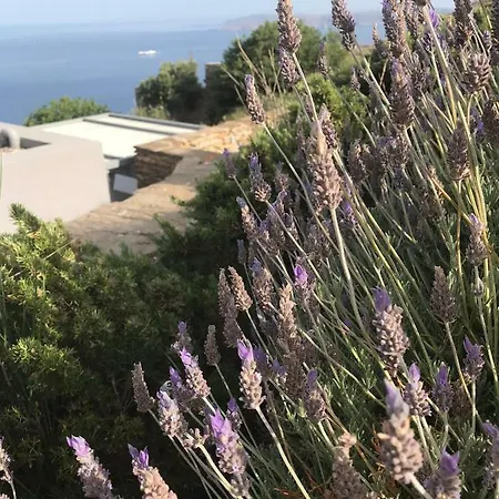 Guest house A La Grand Bleu *